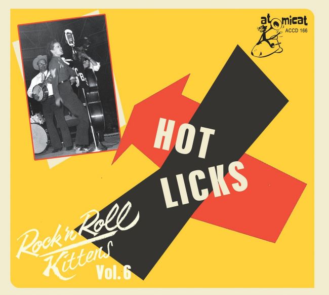 V.A. - Rock'n'Roll Kittens Vol 6 : Hot Licks